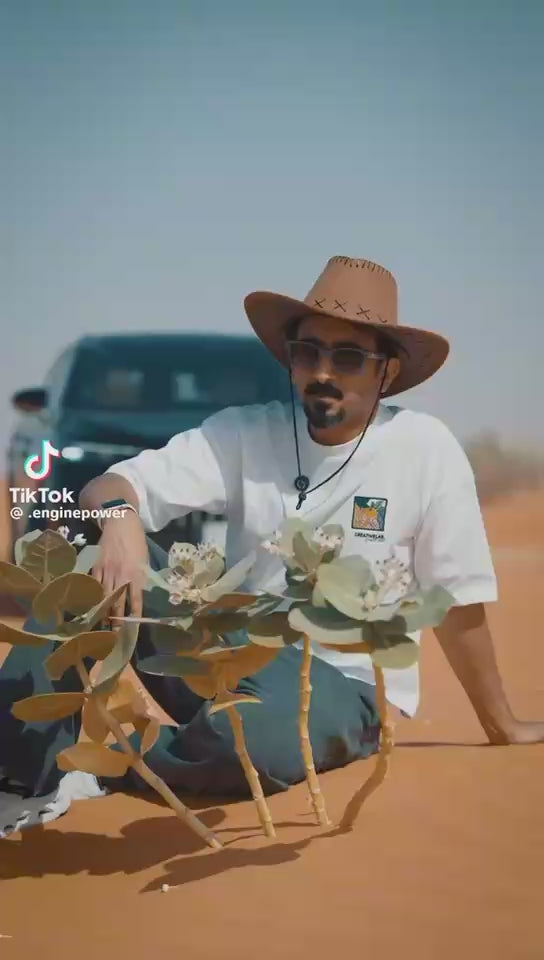 Jaecoo J8